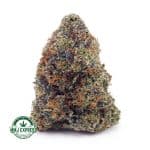 Buy Cannabis Pink Rockstar AAA at MMJ Express Online Shop