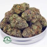 Buy Cannabis Pink Rockstar AAA at MMJ Express Online Shop