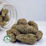 Buy Cannabis Banana Punch AAA at MMJ Express Online Shop