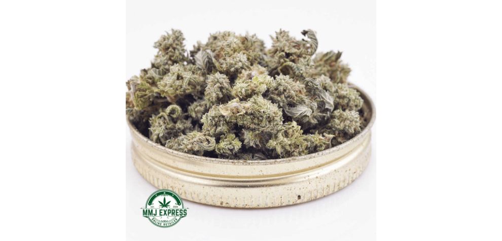 The Garlic Breath AAAA (Popcorn Nugs) is said to be one of the most pungent and strong weed strains in Canada for sleep disturbances. 