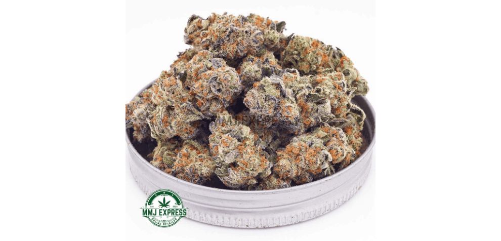 The Gorilla Cookies AAAA is an ideal example of the difference between Indica and Sativa. It's energizing, focus-sharpening, and sadness-busting! 