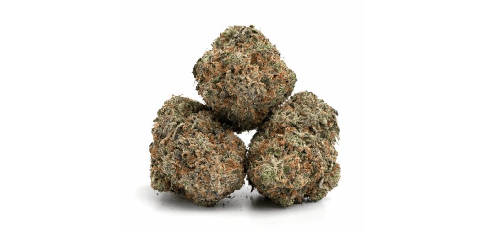On average, the Lindsay OG strain provides you with 25 percent of THC. However, this THC percentage can be lower or higher depending on the quality of your source and other factors. Buy it from the best online dispensary in Canada to stay safe.