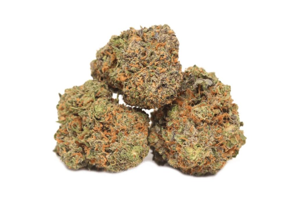 Discover the award-winning MK Ultra strain's mysterious history & potent effects. Learn why MK Ultra weed is one of the strongest indica in Canada.