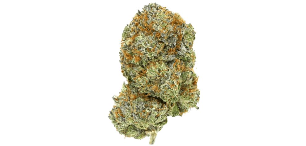 This bud is considered one of the most powerful indicas in the market currently. Getting its name from a secret LSD government experiment, many people assume that it will cause hallucinations.