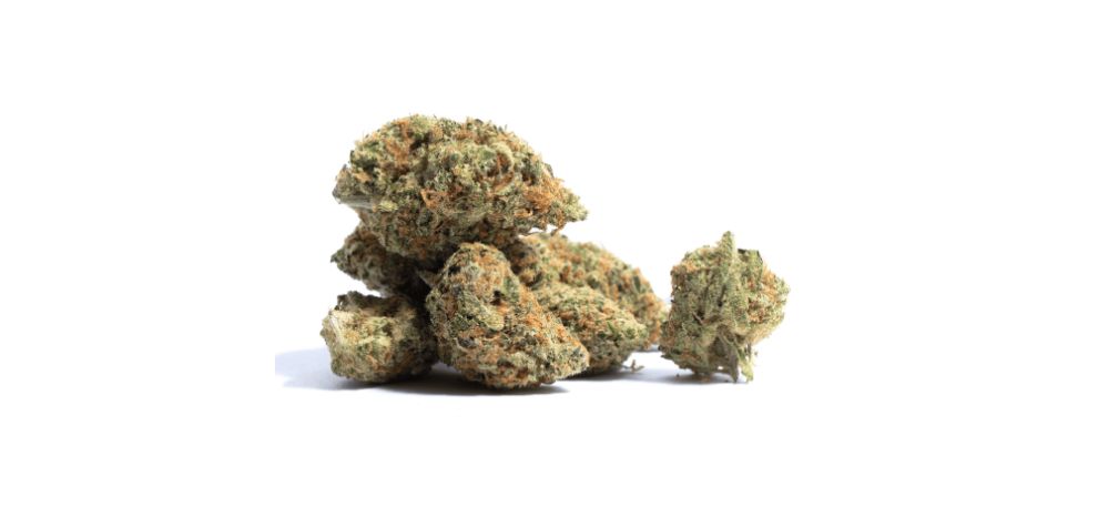 You may have encountered the MK Ultra strain on our online weed dispensary. But unless you were a cannabis enthusiast in the early 2000s, you probably don't know about this strain. 