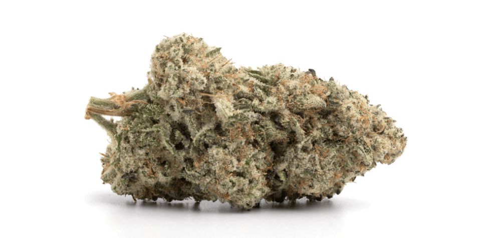 We've asked users of the Mac 1 weed strain, and this is what they say about their experience with this hybrid strain. The most commonly reported Mac 1 strain effects include: