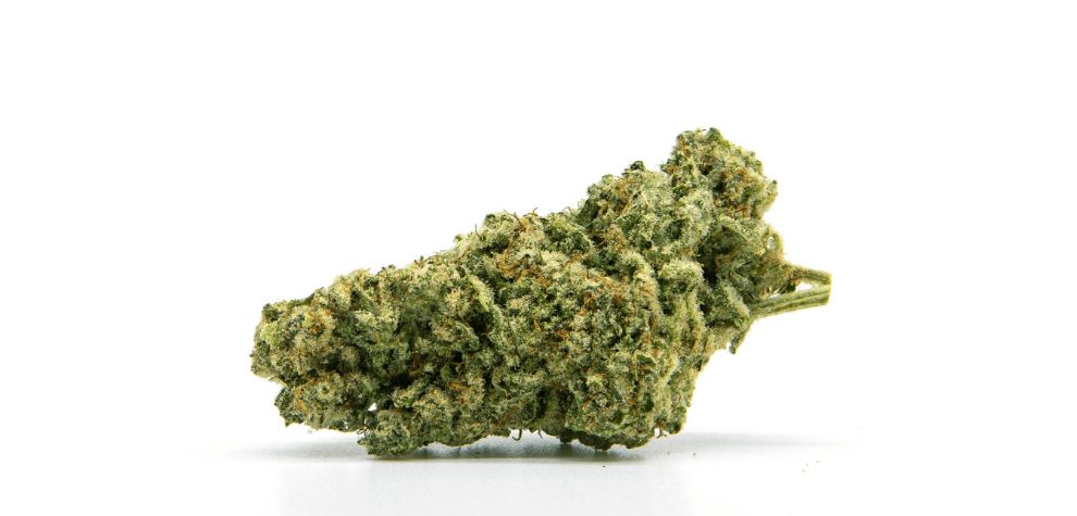 The Mac 1 weed strain or Miracle Alien Cookies X1, is a celebrity child and one of the most celebrated hybrids you'll find at an online dispensary in Canada.