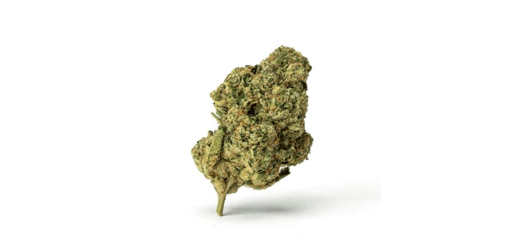 Mac 1 is the nickname for Miracle Alien Cookies X1, a backcross of the infamous MAC. If you're a fan of the original, you must buy cannabis online and give this baby a go!