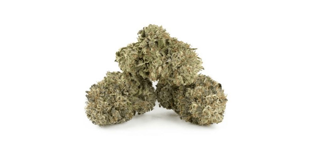 Again, only buy weed online in Canada from a dispensary that's been around the block. Never shop blindly, because you can end up with dodgy cannabis from sketchy places. Your safety comes first, so buy the best BC bud online. 