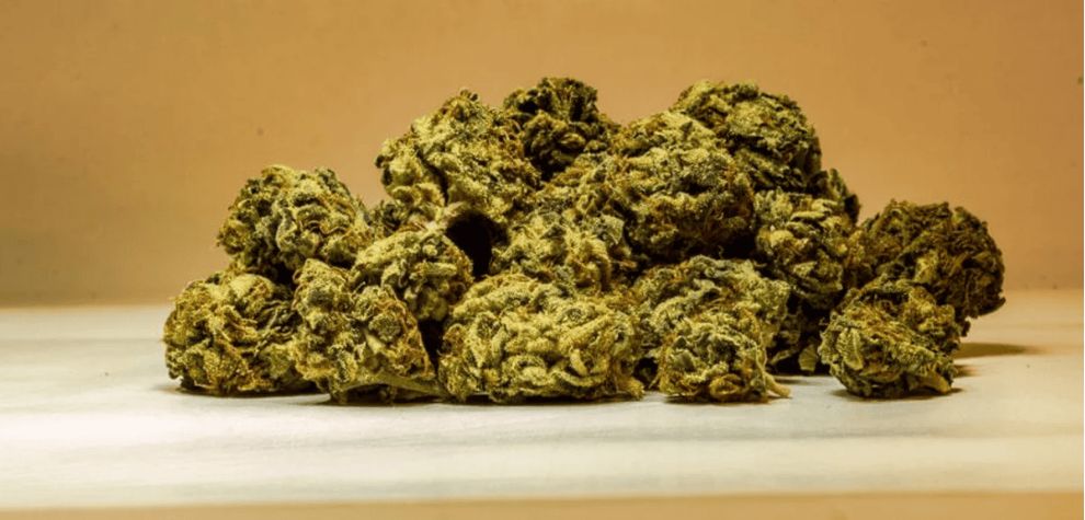 Buying weed online is easy, especially on a tight budget. When learning how to order weed online, you’ll want to start with trusted dispensaries. 