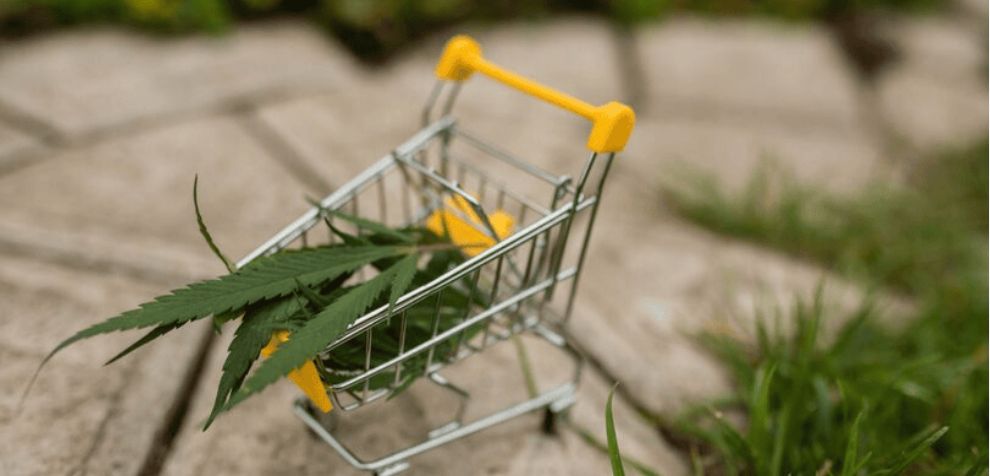 If you’ve read so far, it’s now time to buy cannabis and edibles online.