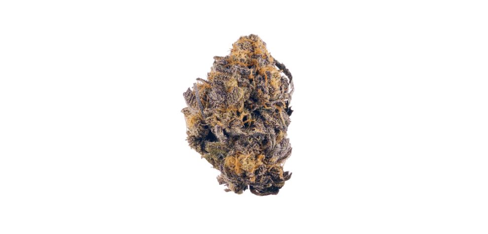 With the most knowledgeable experts by our side and tons of stoner reviews, we managed to put together this in-depth look at Purple Kush, a stellar Indica with special psychoactive abilities. 