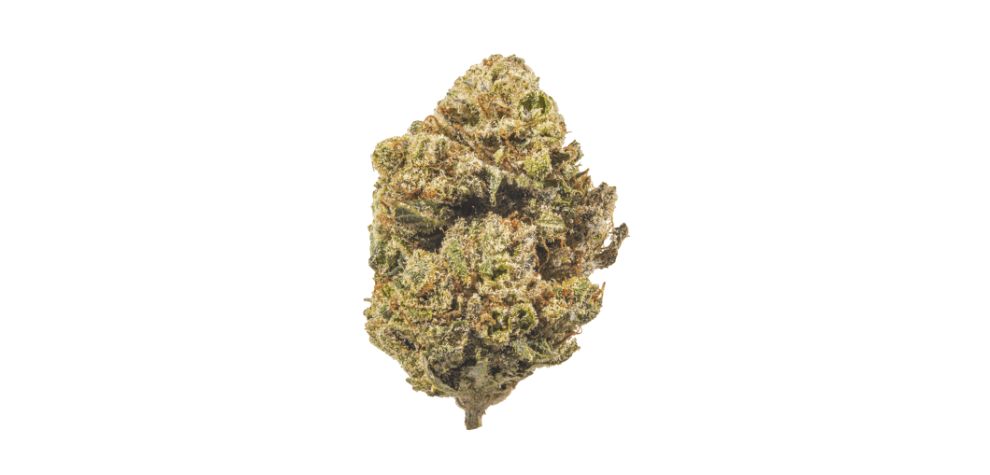 If you're familiar with our educational blogs like this buzzing Tom Ford strain review, you'll know that we always begin with discussing the genetic profile of the herb. 