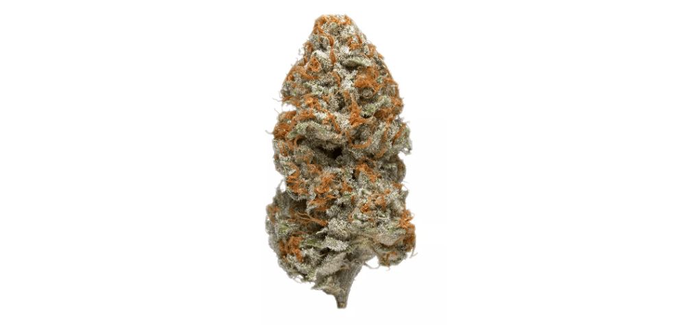 If you are looking for a weak strain, the Purple Kush "ain't" it! However, if you want to buy the most intense BC bud online, you must add it to your virtual cart!