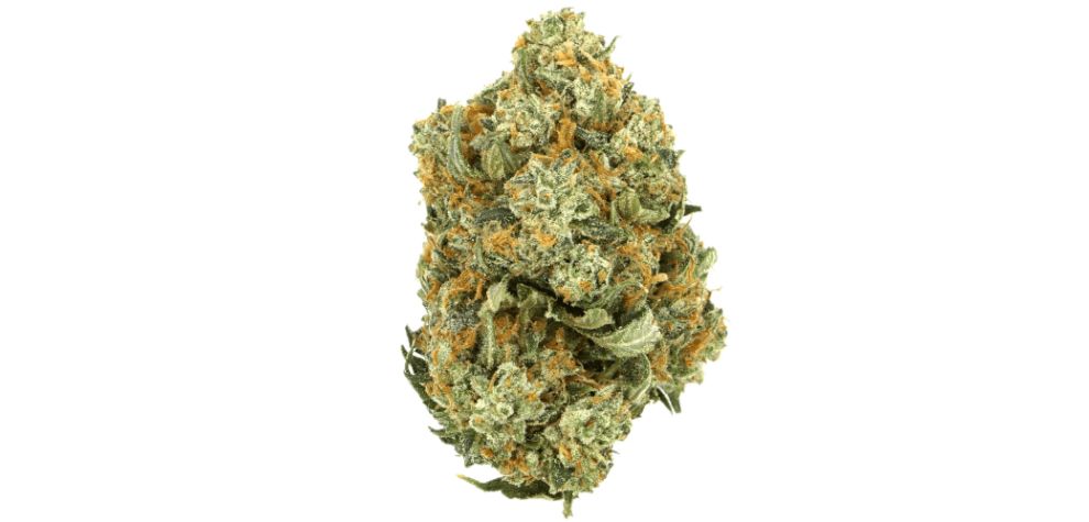 You need to smoke the Pink Tom Ford strain, one of the best Indicas in Canada. Users who want to feel an almost instant high will want to get it.