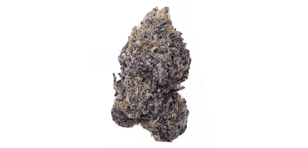 Yes, the Tom Ford Pink strain is known for its alluring beauty (purple and pinkish undertones make it stand apart from the crowd!), but this bud is more than just a "pretty face". It slams you down like a pro wrestler. 