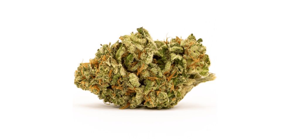 The White Widow strain is one of the most popular cannabis buds of the last three decades. So, where did it originate?