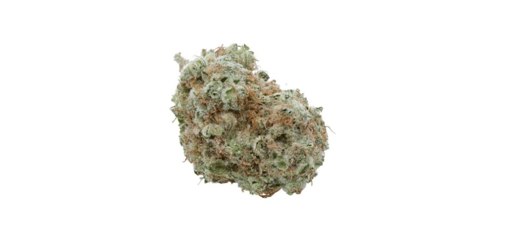 White Widow strain is a hybrid strain with an almost perfectly balanced sativa-to-indica ratio of 60:40. It is only slightly sativa leaning.
