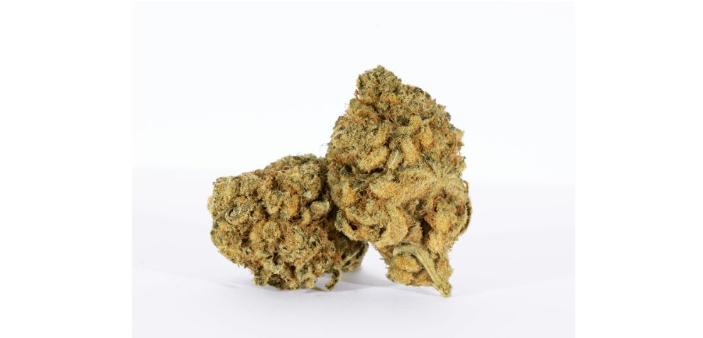 Acapulco Gold strain is perfect for social occasions and creative endeavours. This energizing strain is a sativa strain ideal for wake-and-bake and afternoon pick-me-ups. 