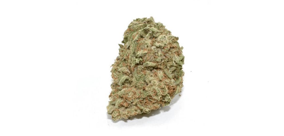 Is Acapulco Gold a true landrace? The strain was first discovered growing naturally in the mountainous regions of Mexico's Acapulco region.