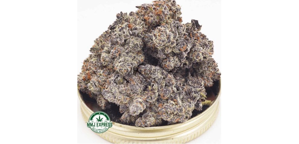 The Budzilla AAAA+ is a top-shelf bud and one of the best discounted cannabis strains you can get online. 