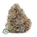 Buy Cannabis Tangerine Dream AAAA+, Craft at MMJ Express Online Shop