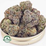 Buy Cannabis Tangerine Dream AAAA+, Craft at MMJ Express Online Shop