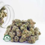 Buy Cannabis 91 Supreme AAAA (Popcorn Nugs) at MMJ Express Online Shop