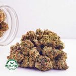 Buy Cannabis Hindu Skunk AA at MMJ Express Online Shop