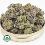 Buy Cannabis Tom Ford AAAA (Popcorn Nugs) MMJ Express Online Shop
