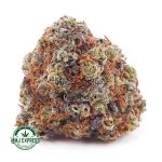 Buy Cannabis Blackberry Haze AA at MMJ Express Online Shop