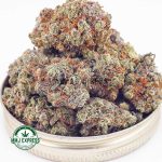 Buy Cannabis Blackberry Haze AA at MMJ Express Online Shop