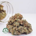 Buy Cannabis Blackberry Haze AA at MMJ Express Online Shop