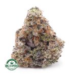 Buy Cannabis Guava Cookies AAAA at MMJ Express Online Shop