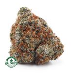 Buy Cannabis Holy Grail AAAA at MMJ Express Online Shop
