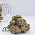 Buy Cannabis Pineapple Jack Herer AAA at MMJ Express Online Shop