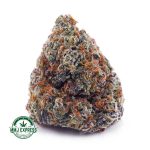 Buy Cannabis Grape Stomper AAA at MMJ Express Online Shop