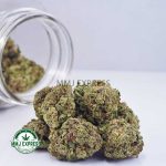 Buy Cannabis Tangie AA at MMJ Express Online Shop
