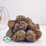 Buy Cannabis Afghan Haze AAA at MMJ Express Online Shop
