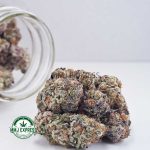 Buy Cannabis Purple Space Cookies AAAA  at MMJ Express Online Shop