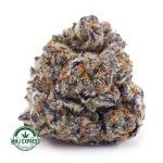 Buy Cannabis Platinum Do-Si-Do AAAA at MMJ Express Online Shop