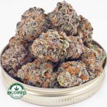 Buy Cannabis Platinum Do-Si-Do AAAA at MMJ Express Online Shop