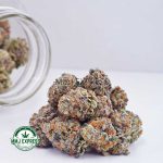 Buy Cannabis Platinum Do-Si-Do AAAA at MMJ Express Online Shop