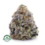 Buy Cannabis Space Cake AAA at MMJ Express Online Shop