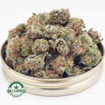 Buy Cannabis White Truffle AAA (Popcorn) at MMJ Express Online Shop