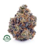 Buy Cannabis Cherry Pie AAA at MMJ Express Online Shop