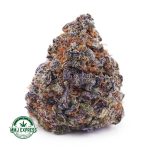 Buy Cannabis Stargazer AAA at MMJ Express Online Shop