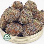 Buy Cannabis Stargazer AAA at MMJ Express Online Shop