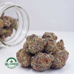 Buy Cannabis Stargazer AAA at MMJ Express Online Shop