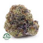 Buy Cannabis Tropicana Haze AAA at MMJ Express Online Shop